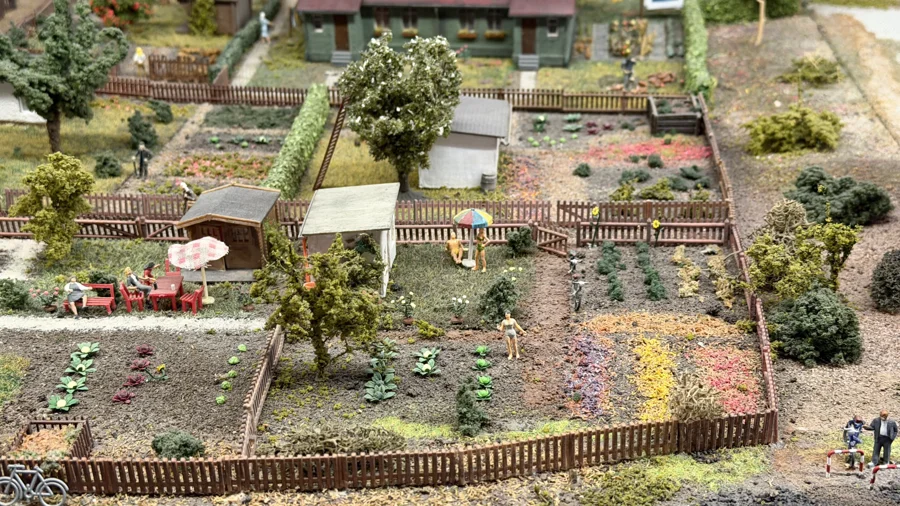 Allotment gardens with tiny sheds and greenhouses